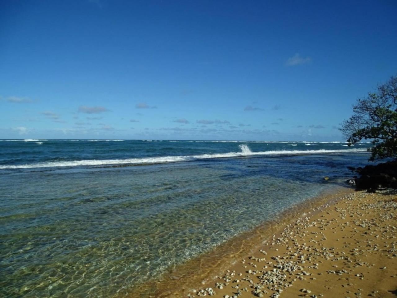 Kapaa Shores | Pristine Beach Kauai Exterior photo